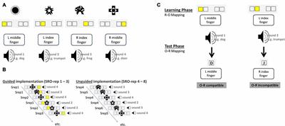 Learning-Related Brain-Electrical Activity Dynamics Associated with the Subsequent Impact of Learnt Action-Outcome Associations